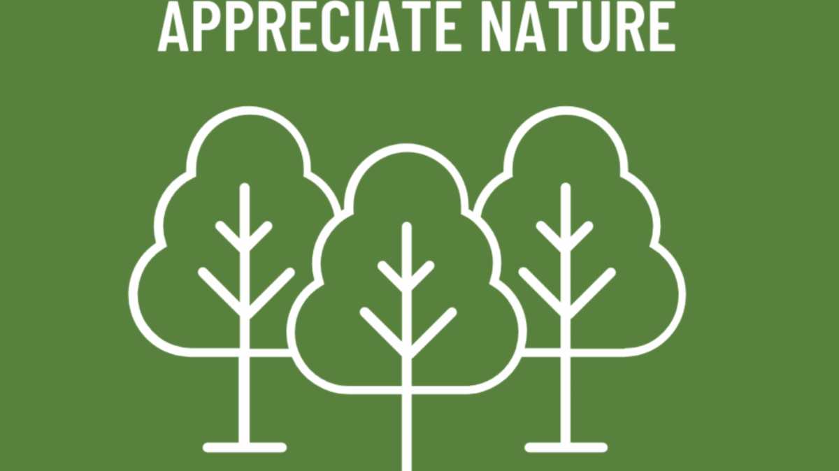 50 Ways to Celebrate 50 Years of Earth Day