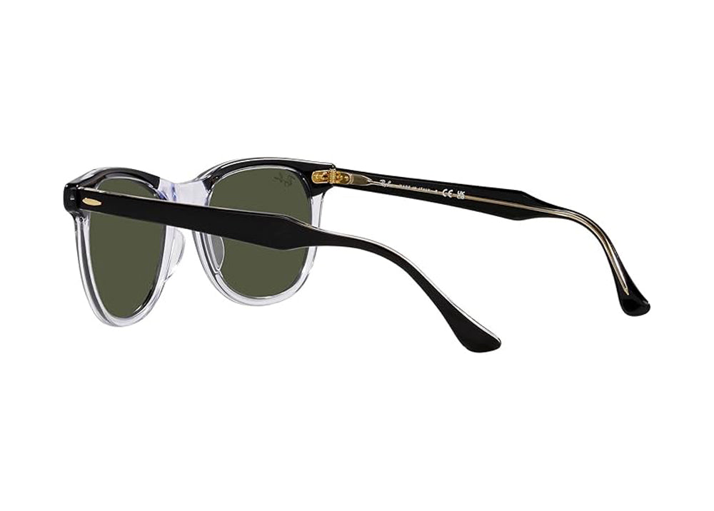Ray Ban Eagleeye Sunglasses BlackTransparent Green