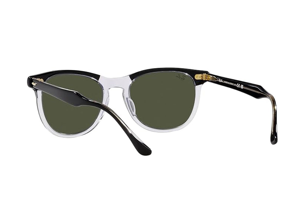 Ray Ban Eagleeye Sunglasses BlackTransparent Green