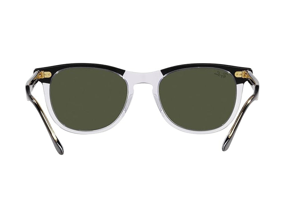 Ray Ban Eagleeye Sunglasses BlackTransparent Green