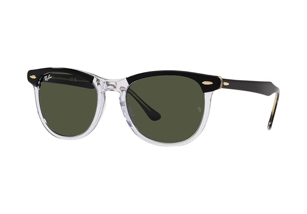 Ray Ban Eagleeye Sunglasses BlackTransparent Green