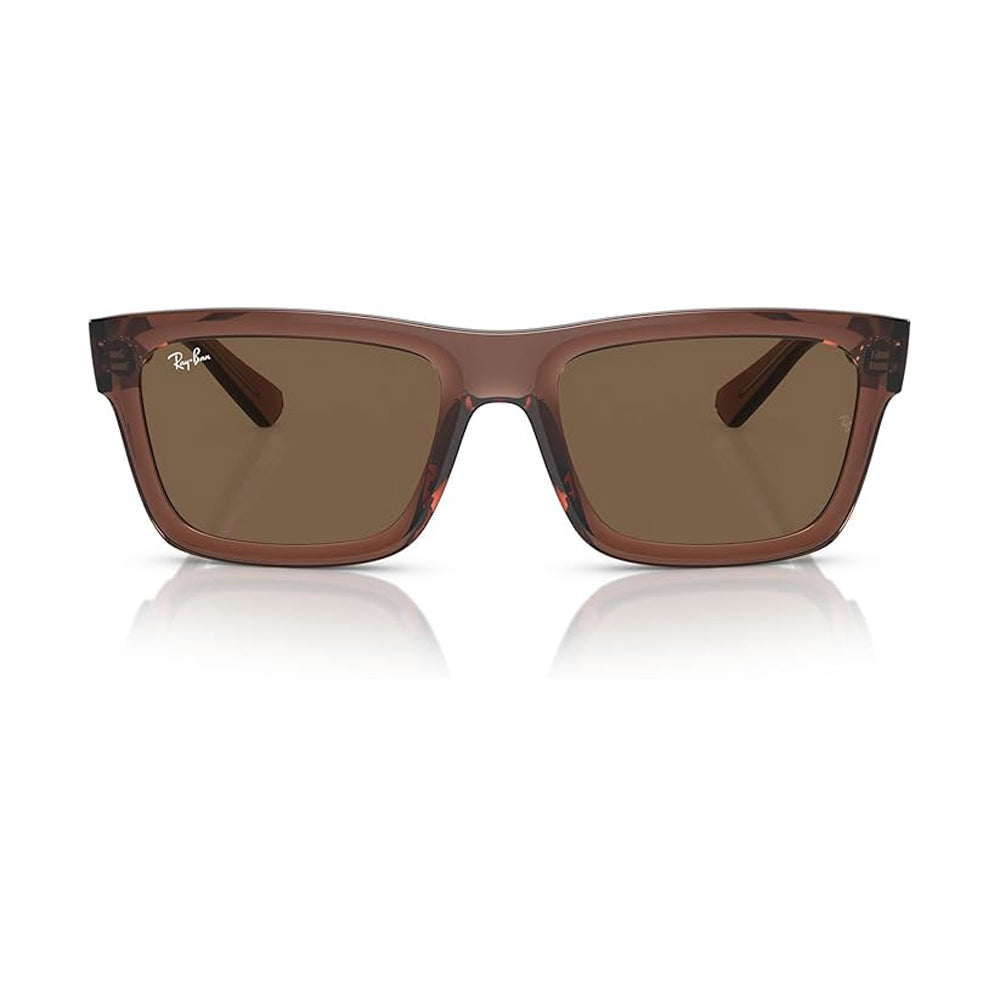 Ray-Ban Warren Sunglasses TransparentBrown DkBrown