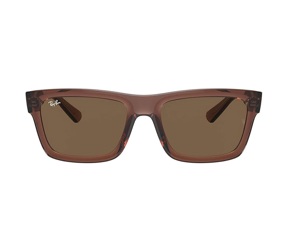 Ray-Ban Warren Sunglasses TransparentBrown DkBrown