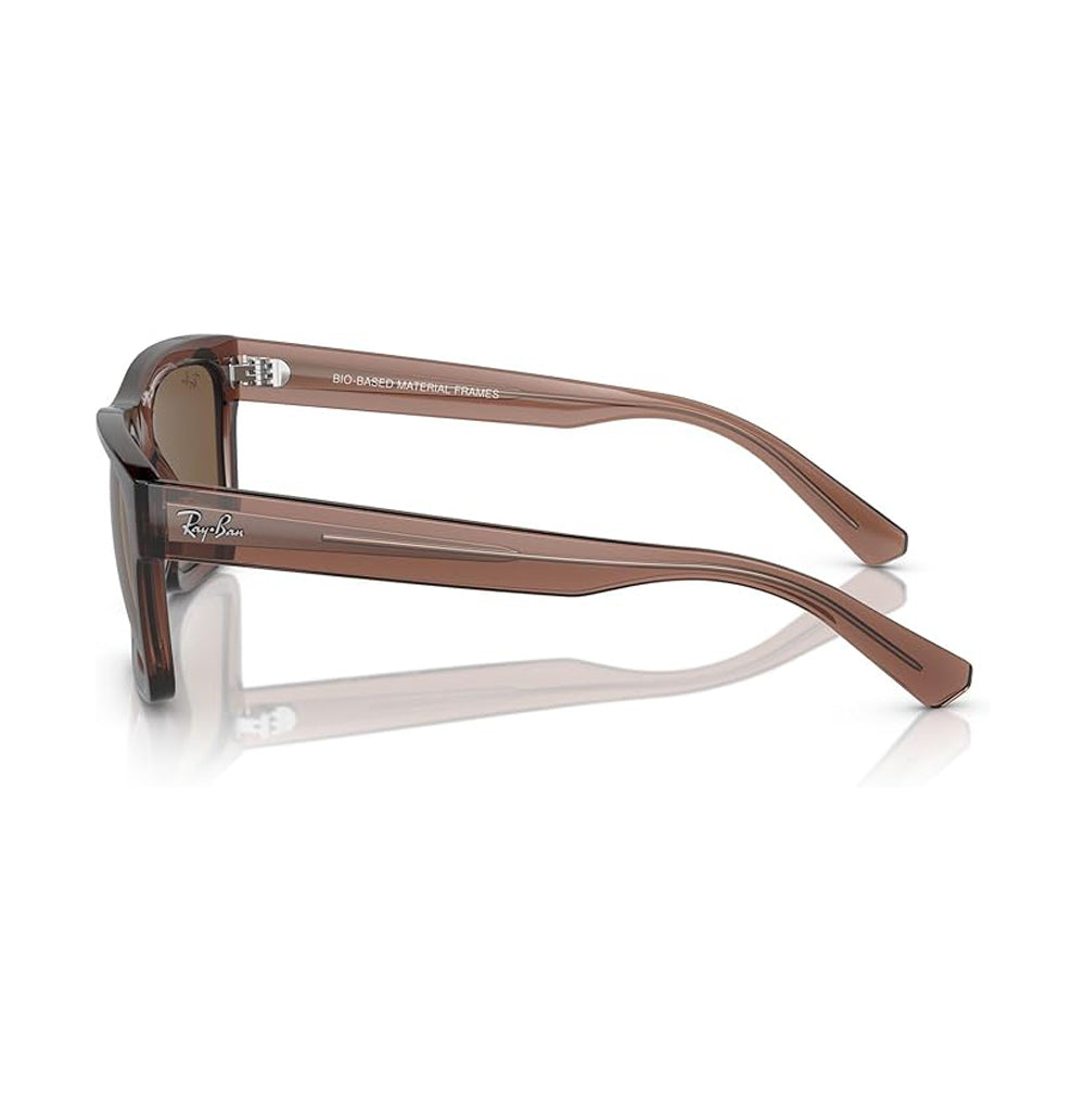 Ray-Ban Warren Sunglasses TransparentBrown DkBrown