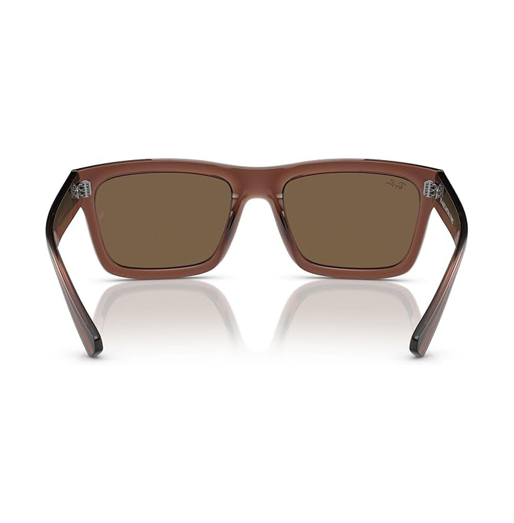 Ray-Ban Warren Sunglasses TransparentBrown DkBrown