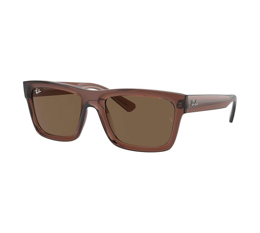 Ray-Ban Warren Sunglasses TransparentBrown DkBrown