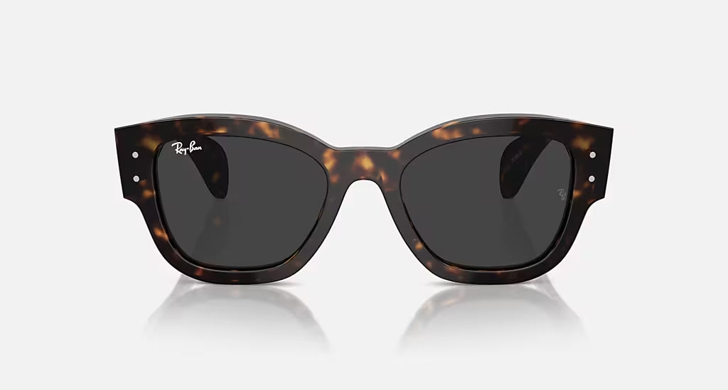Ray-Ban Jorge Polarized Sunglasses Havana Black