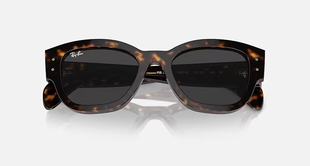 Ray-Ban Jorge Polarized Sunglasses Havana Black