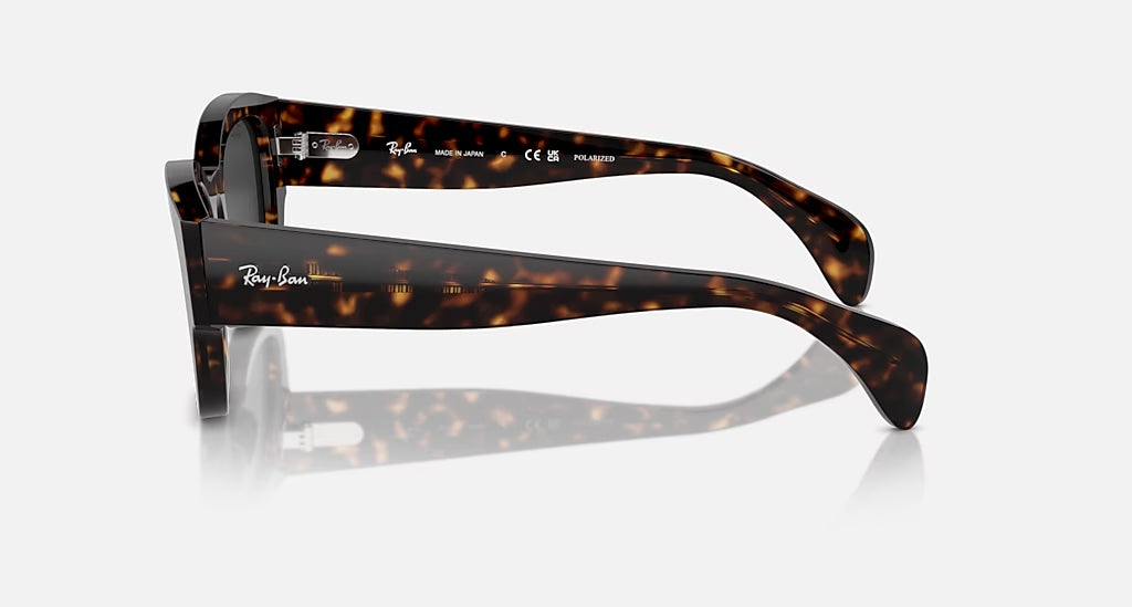 Ray-Ban Jorge Polarized Sunglasses Havana Black