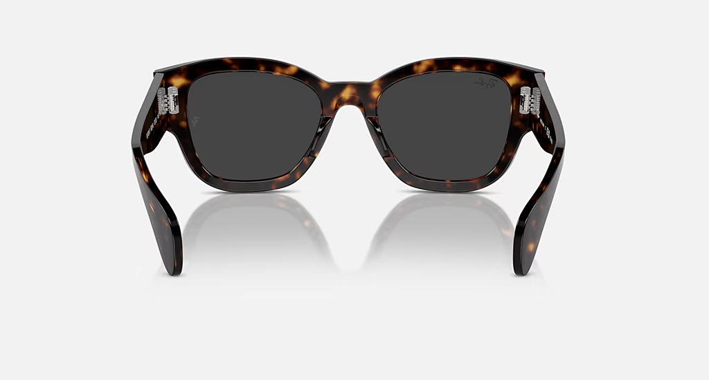 Ray-Ban Jorge Polarized Sunglasses Havana Black