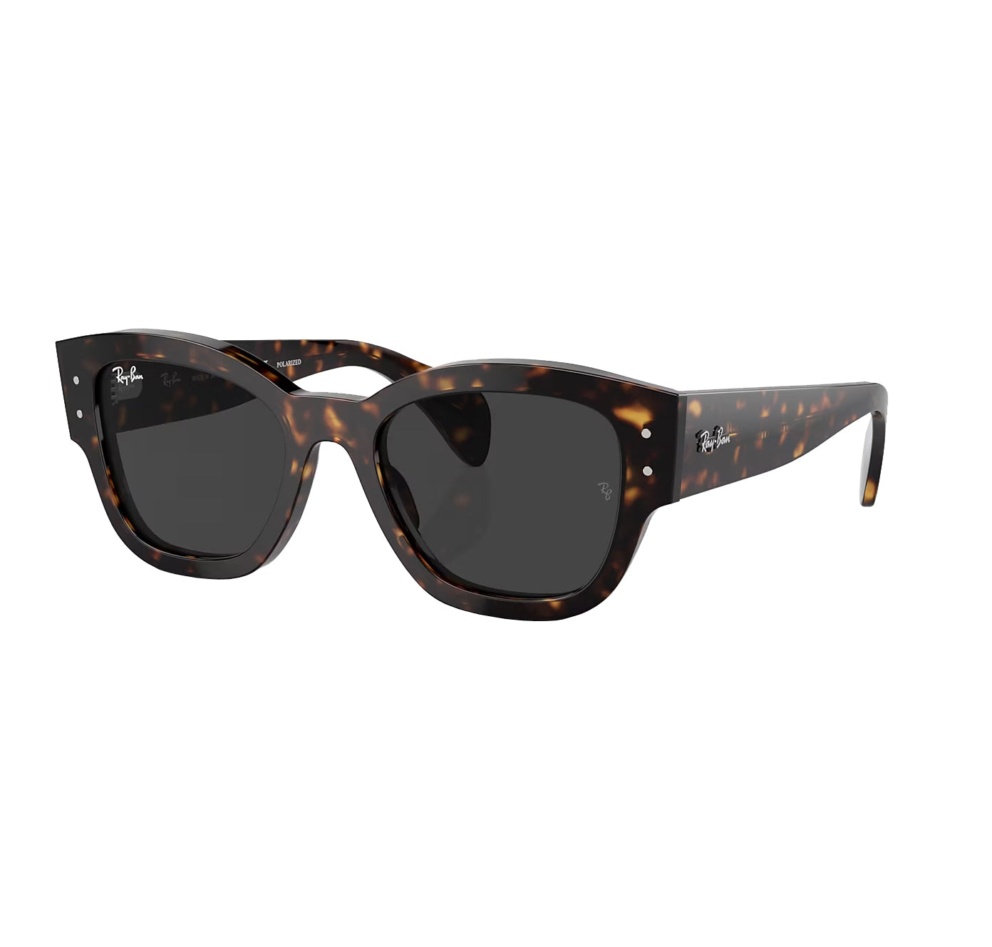 Ray-Ban Jorge Polarized Sunglasses Havana Black