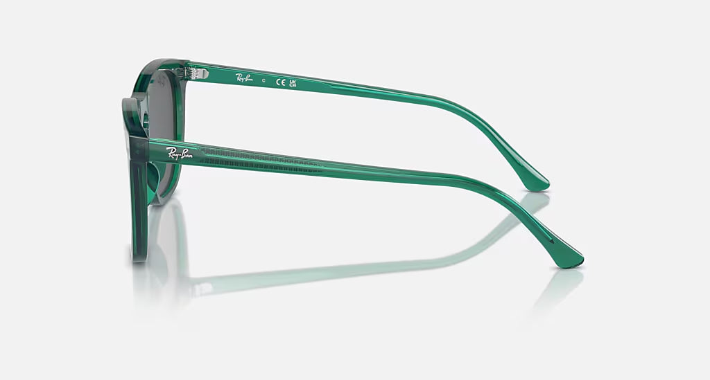 Ray-Ban 0RB2210 Polarized Sunglasses TransparentGreen DkGrey