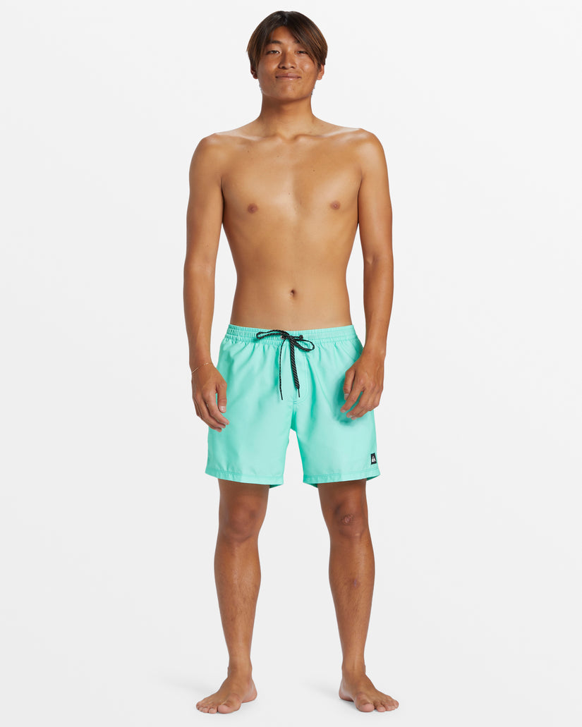 Quiksilver Everyday Solid Volley Short GEY0 XXL
