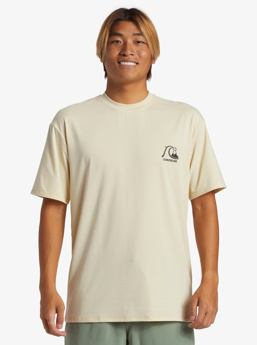 Quiksilver DNA Surf Tee TFD0 S