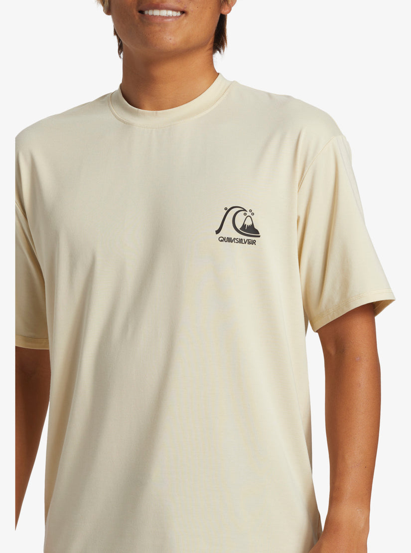 Quiksilver DNA Surf Tee TFD0 S