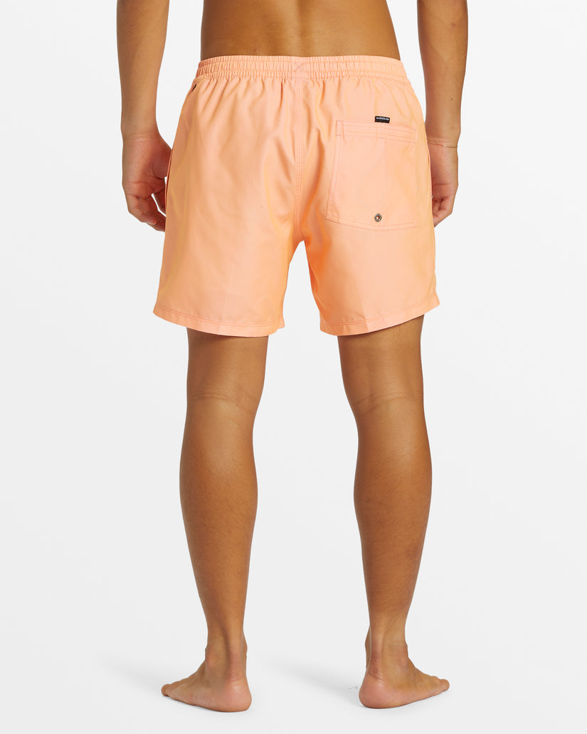 Quiksilver Everyday Solid Volley Short MFQ0 XXL