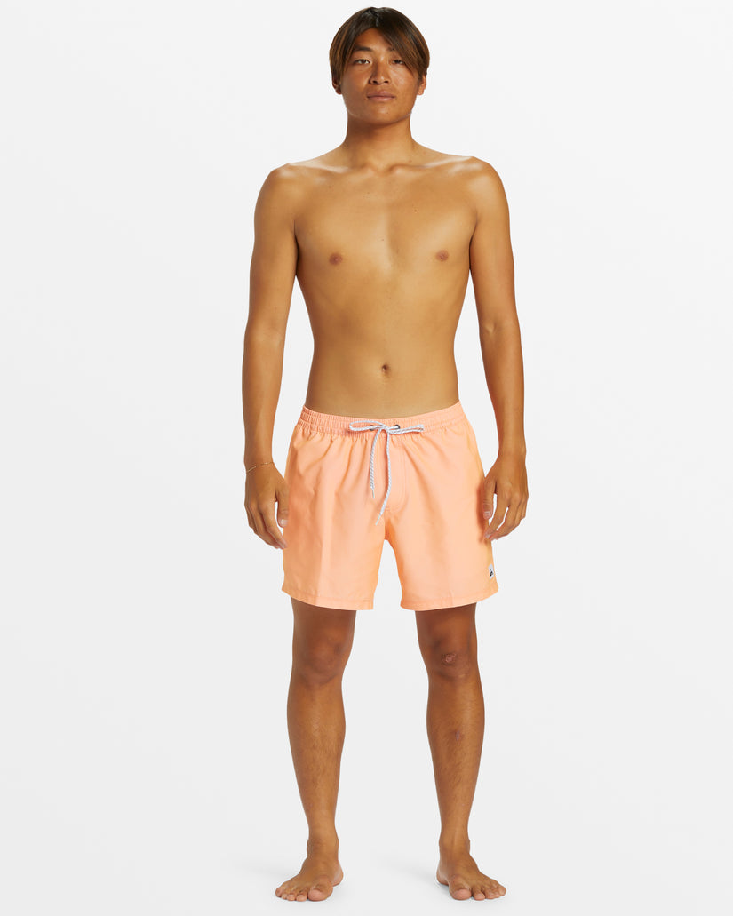 Quiksilver Everyday Solid Volley Short MFQ0 XXL