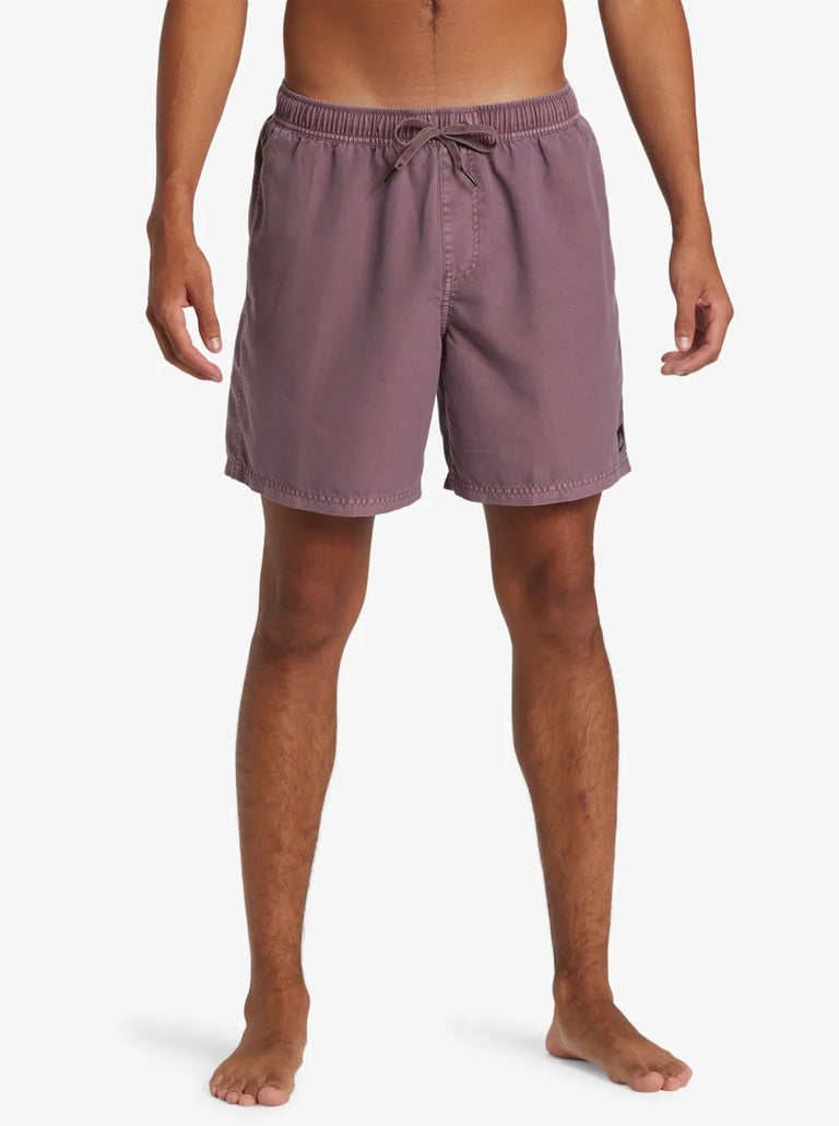 Quiksilver Everyday Surfwash Volley PMR0 XL