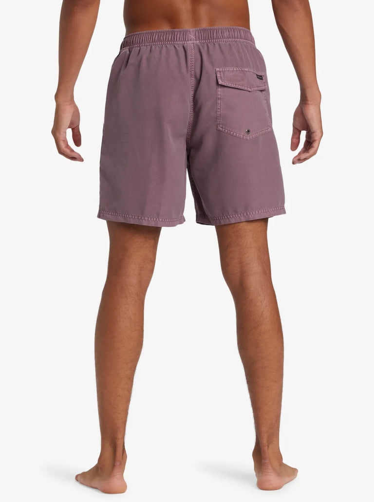 Quiksilver Everyday Surfwash Volley PMR0 XL