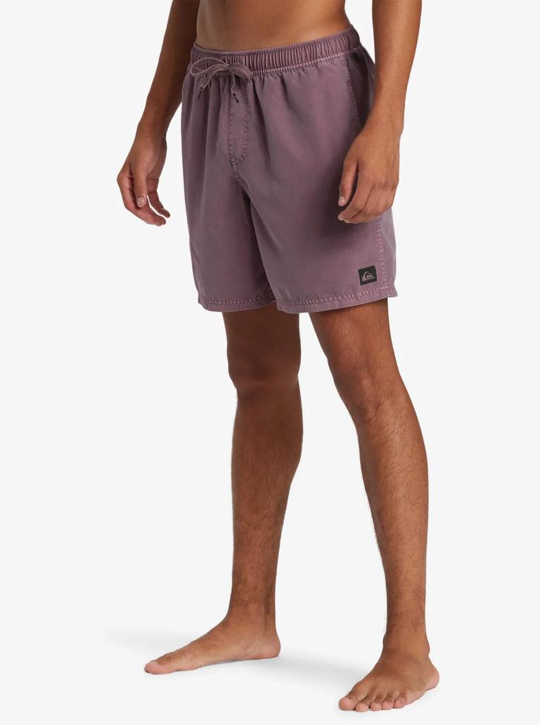 Quiksilver Everyday Surfwash Volley PMR0 XL