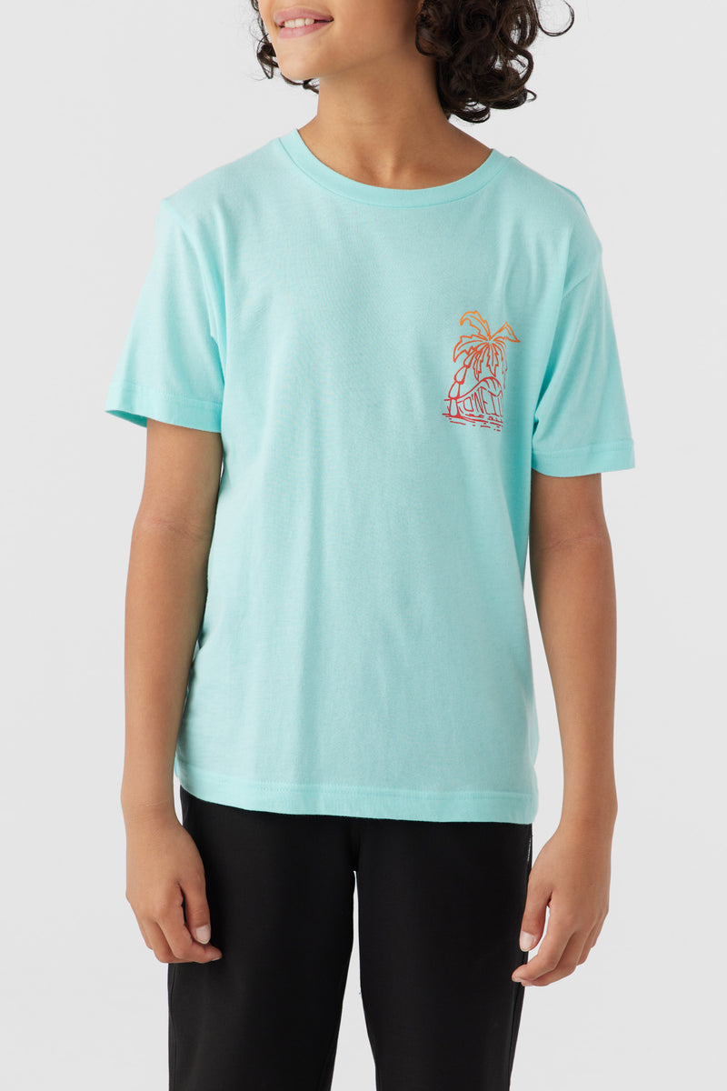 O'Neill Boys Rippable SS Tee TUR M