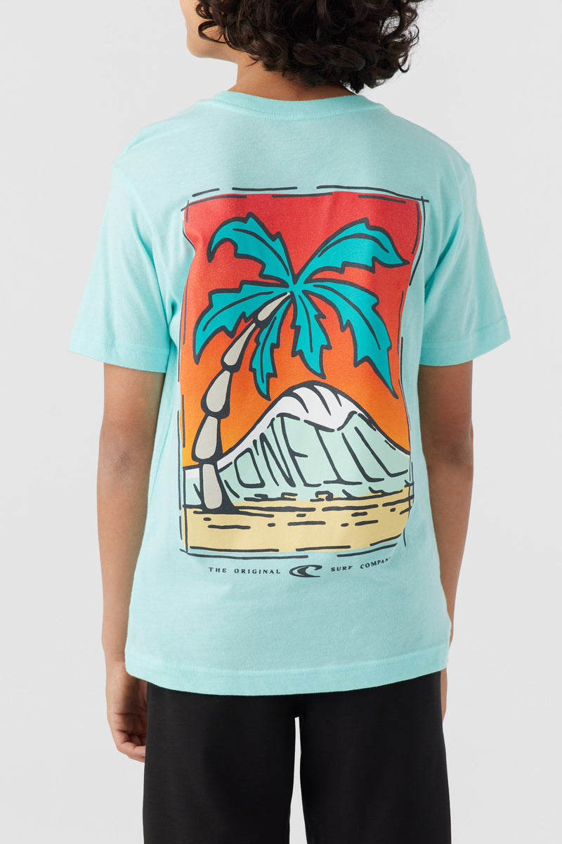 O'Neill Boys Rippable SS Tee TUR M