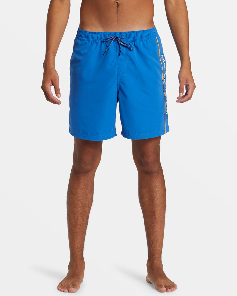Quiksilver Everyday Vert Volley 2 BQV0 M