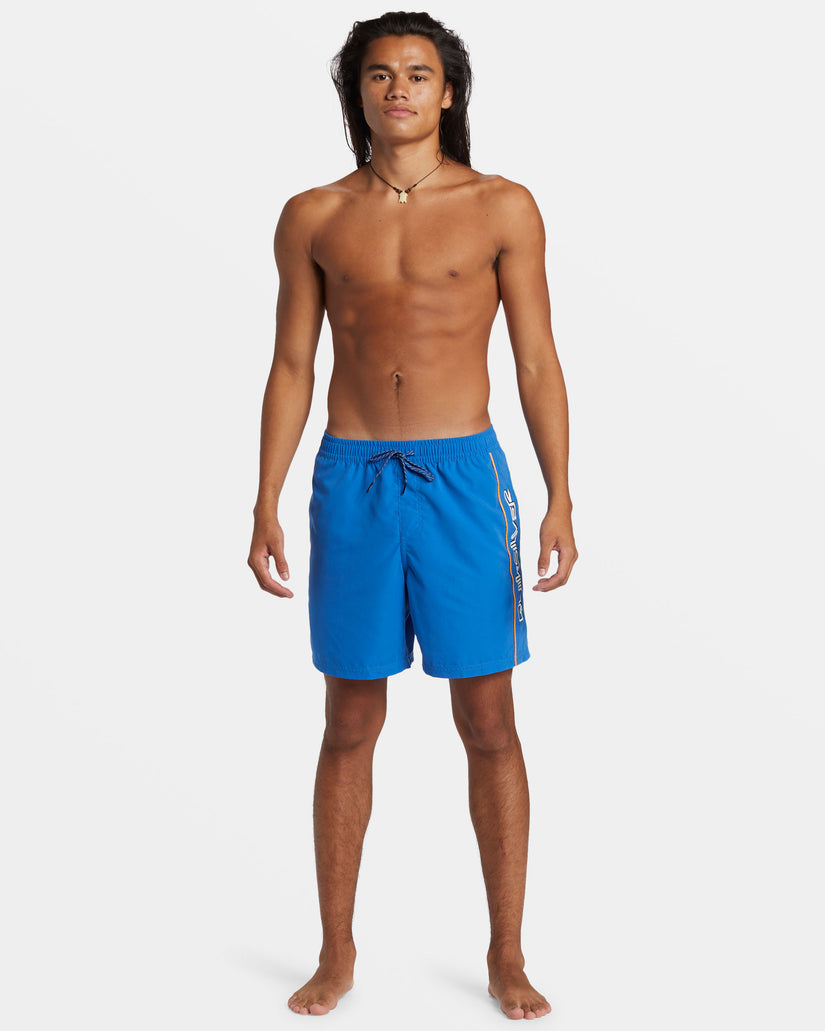Quiksilver Everyday Vert Volley 2 BQV0 XL