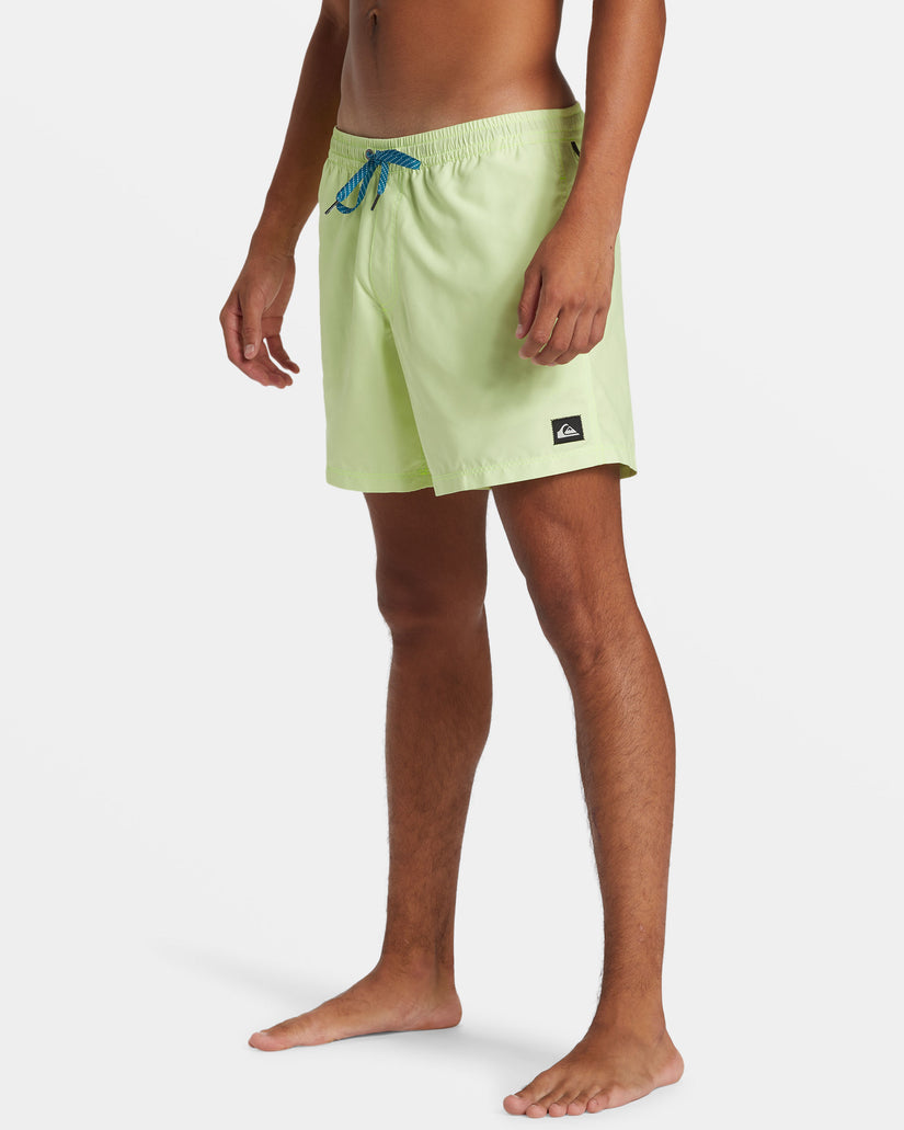 Quiksilver Everyday Solid Volley Short GCQ0 L