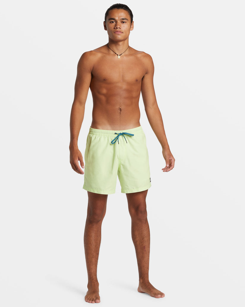 Quiksilver Everyday Solid Volley Short GCQ0 L