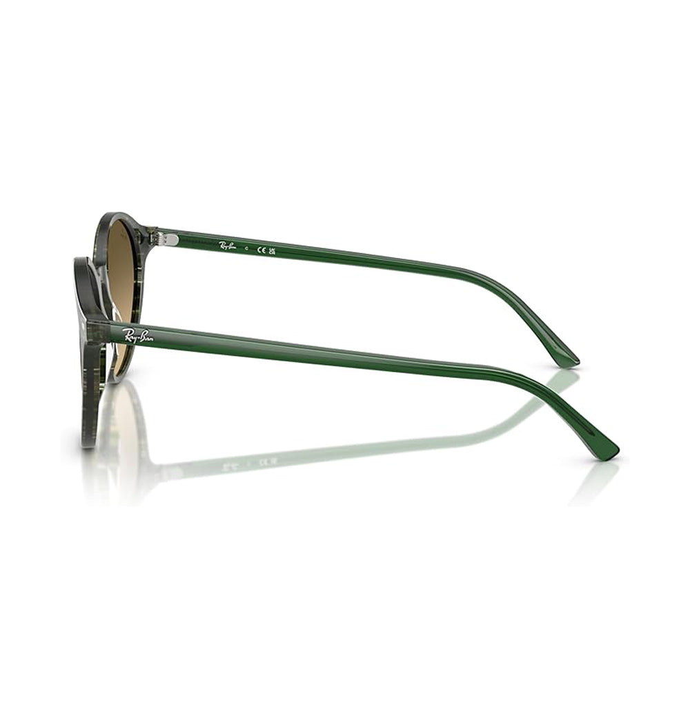 Ray-Ban Bernard Sunglasses TransSadeFantsyGrn Brown