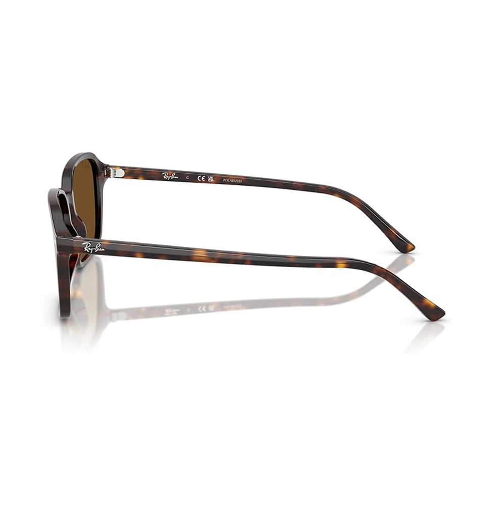 Ray-Ban Raimond Polarized Sunglasses Havana Brown