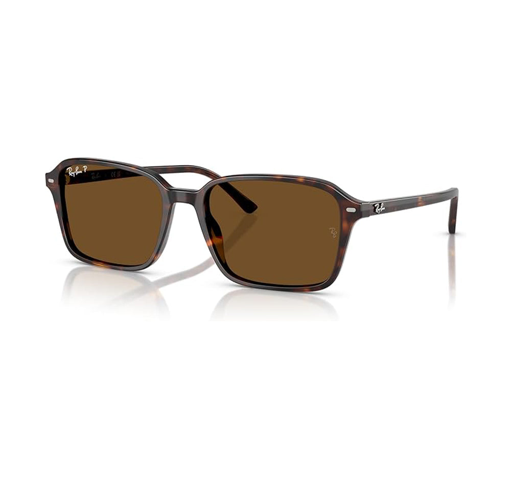 Ray-Ban Raimond Polarized Sunglasses Havana Brown