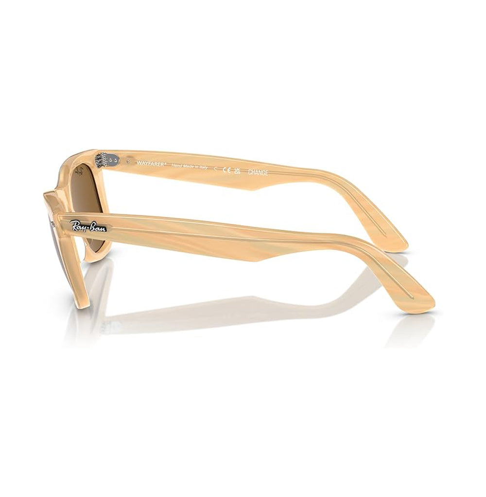 Ray-Ban Wayfarer Photo Sunglasses StripedBrown Brown