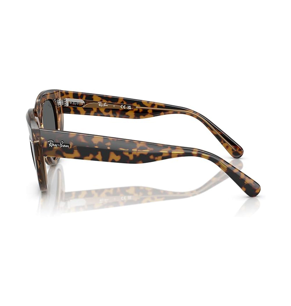 Ray-Ban Doreen Sunglasses HavanaOnTransparentBrown DKGrey
