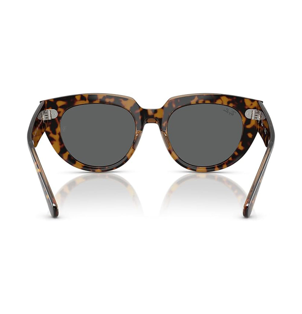 Ray-Ban Doreen Sunglasses HavanaOnTransparentBrown DKGrey