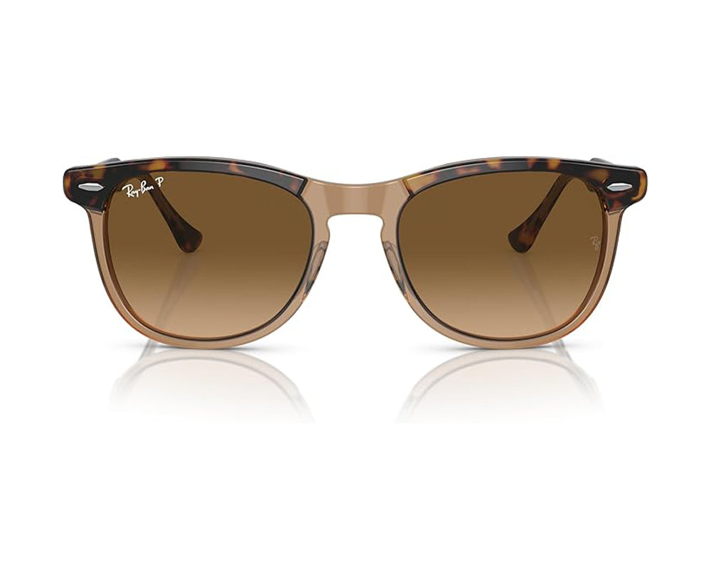 Ray Ban Eagleeye Sunglasses HavanaTransparentBrown BrownGradient