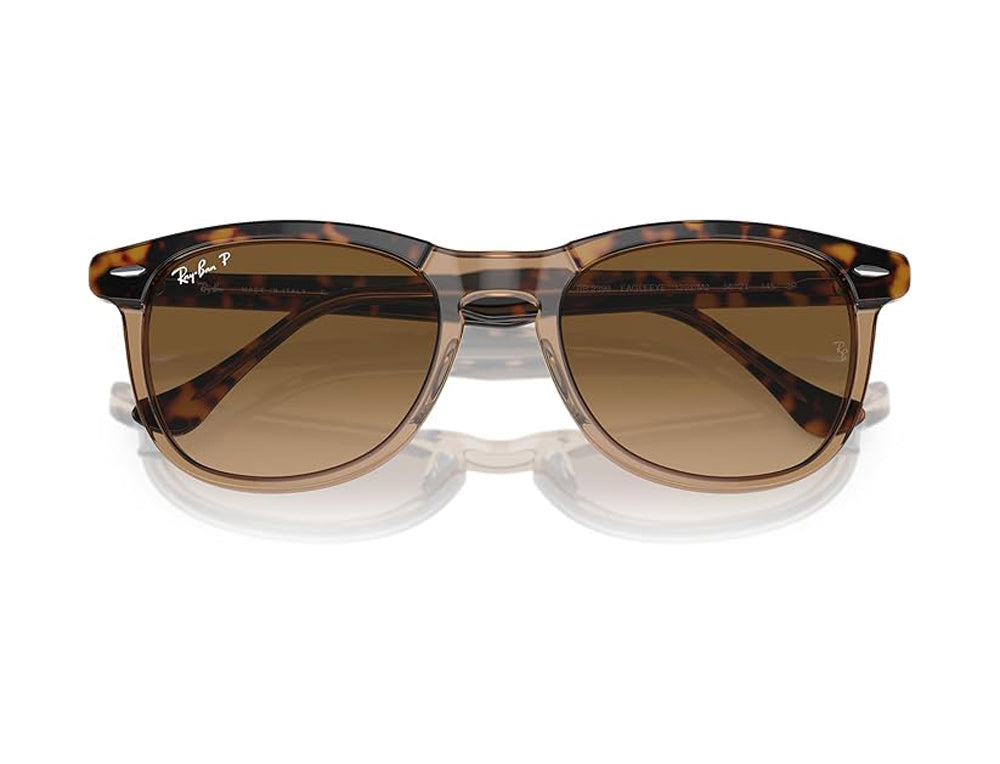 Ray Ban Eagleeye Sunglasses HavanaTransparentBrown BrownGradient
