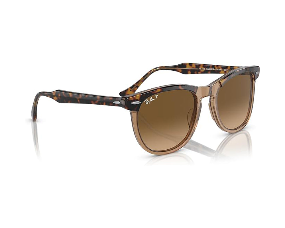 Ray Ban Eagleeye Sunglasses HavanaTransparentBrown BrownGradient