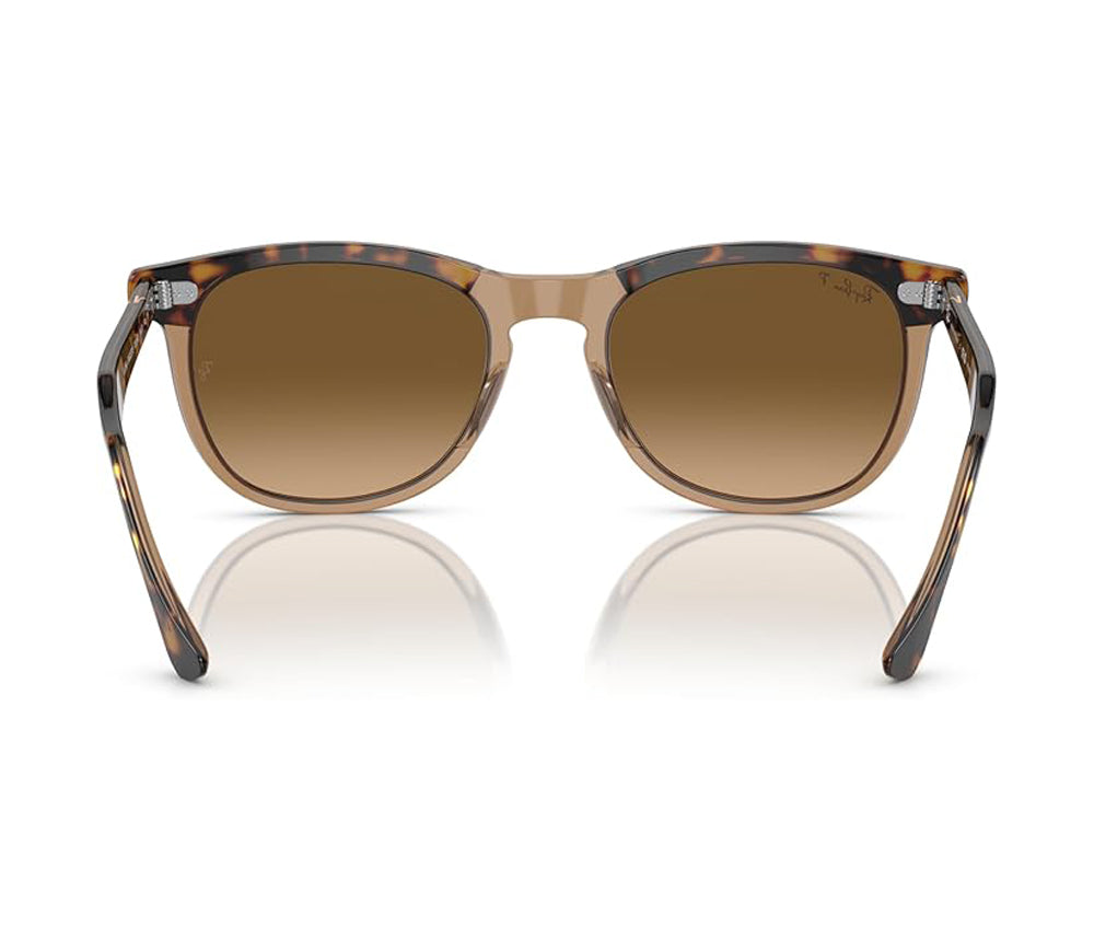 Ray Ban Eagleeye Sunglasses HavanaTransparentBrown BrownGradient