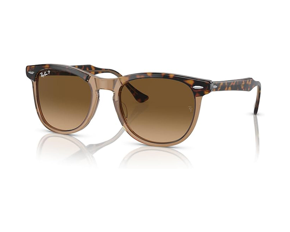 Ray Ban Eagleeye Sunglasses HavanaTransparentBrown BrownGradient