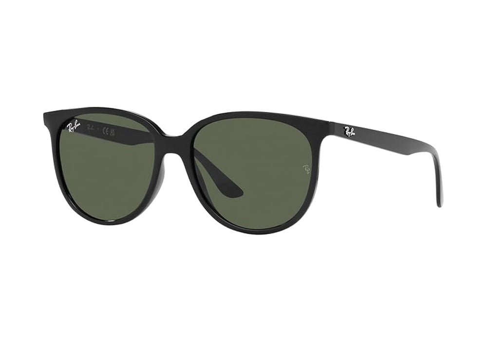 Ray Ban 0RB4378 Sunglasses Black DkGreen