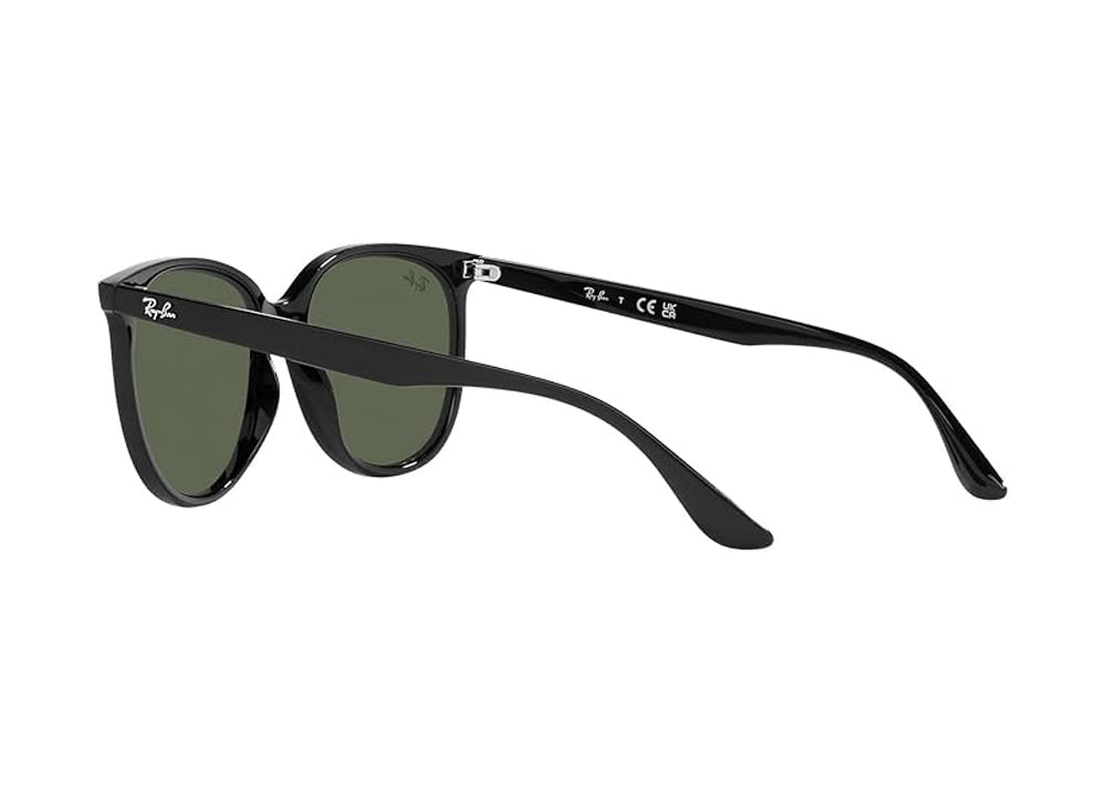 Ray Ban 0RB4378 Sunglasses Black DkGreen