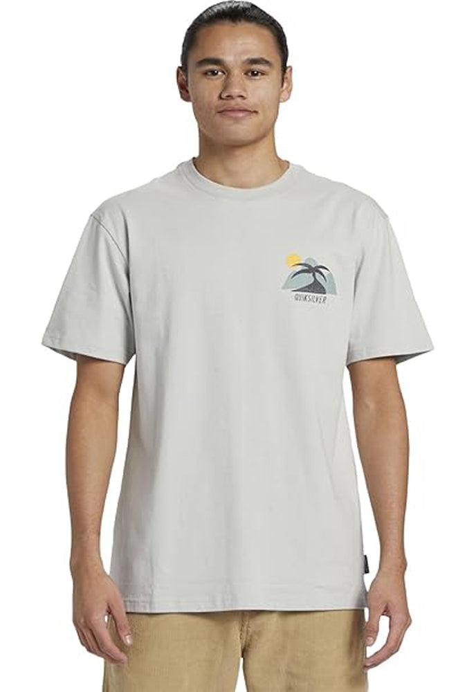 Quiksilver Mens Elemental SS Tee SFV0 L