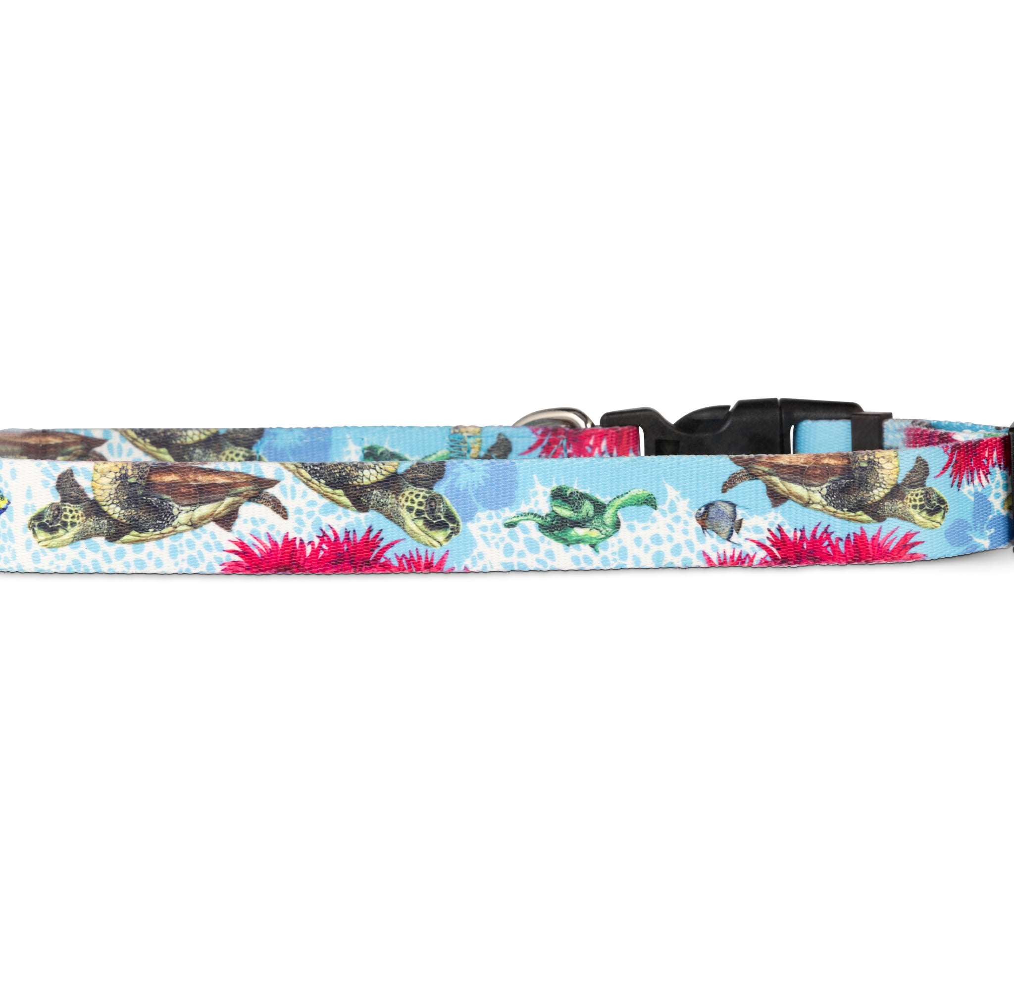 Salty Paws Surfing Dog Collar | Designs for Beach Dogs, Floral, Fishing, Surfing, Hawaiian, TurtleReef L