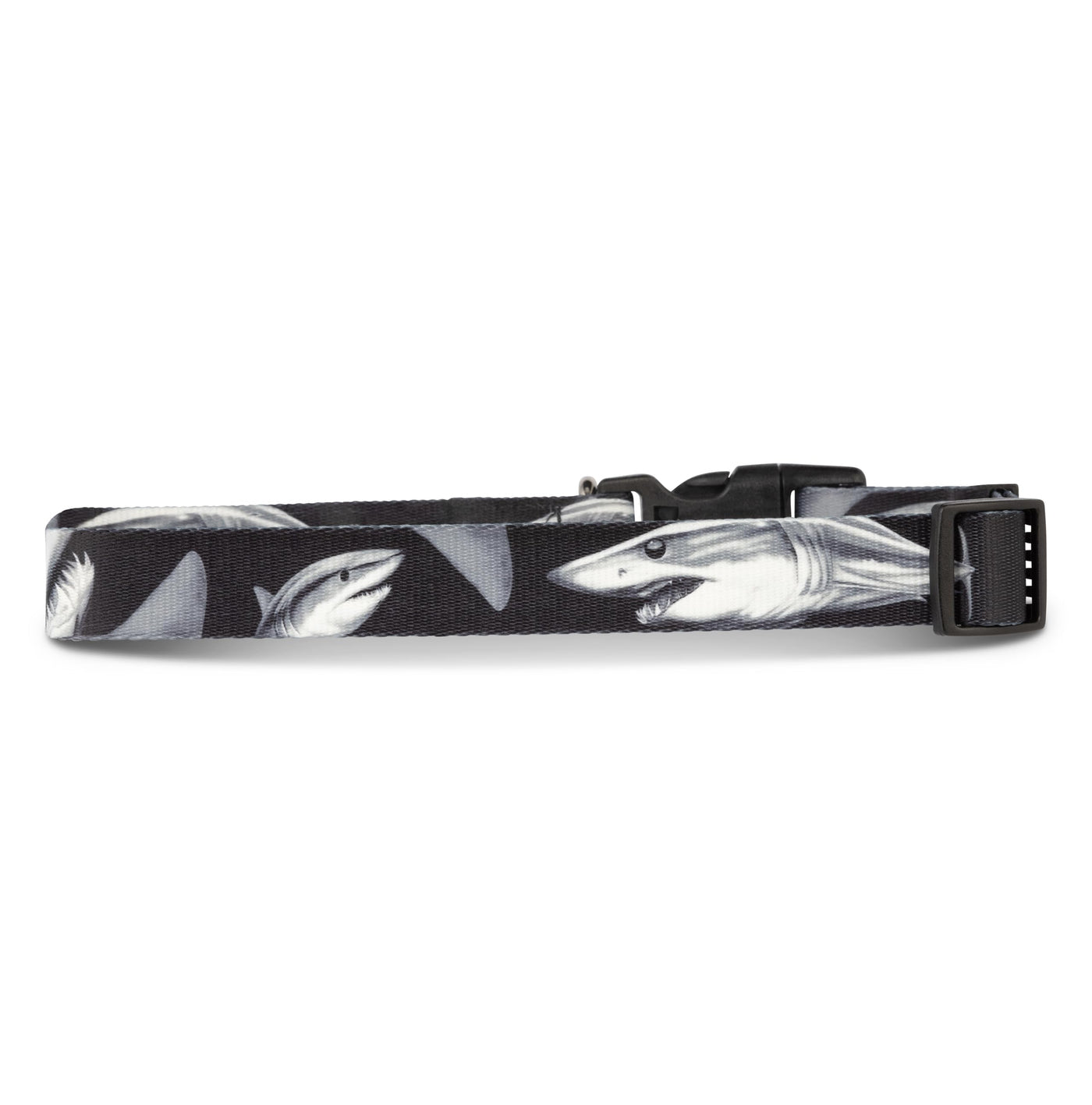 Salty Paws Surfing Dog Collar | Designs for Beach Dogs, Floral, Fishing, Surfing, Hawaiian, MakoShark S