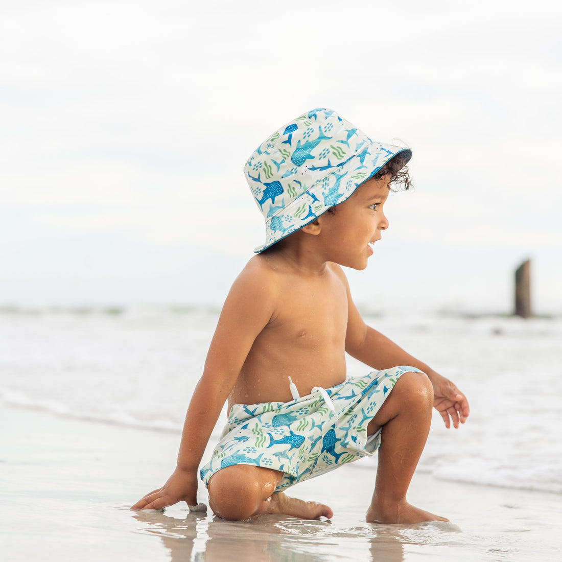 Emerson and Friends Boys Swim Trunks SharkFriends 8-9K