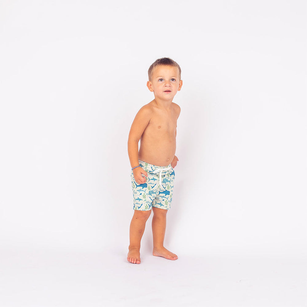 Emerson and Friends Boys Swim Trunks SharkFriends 8-9K