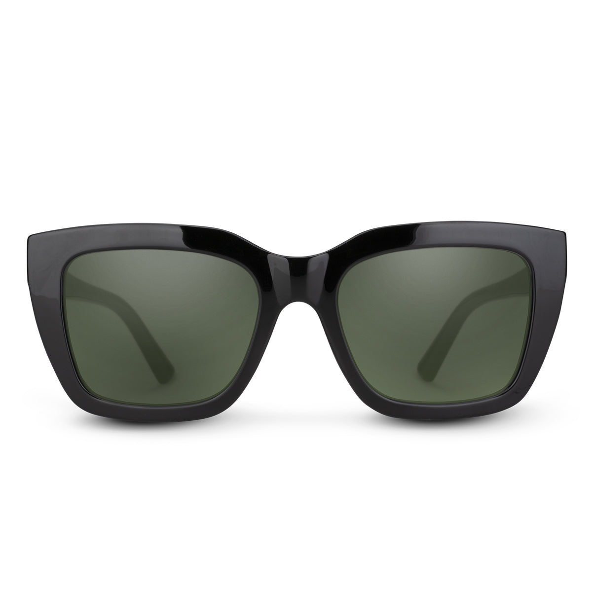 SunCloud Marion Polarized Sunglasses Black GrayGreen