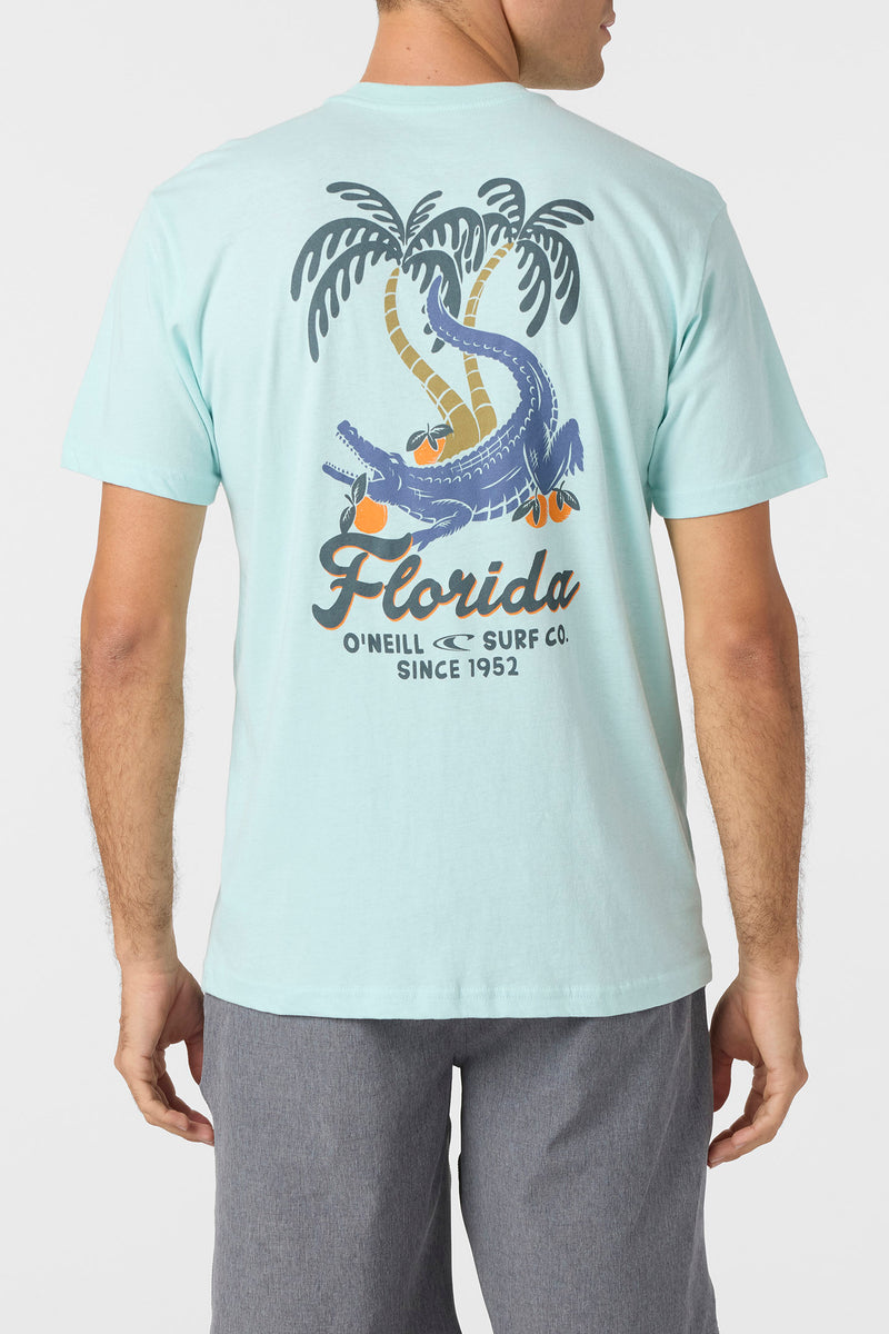O'NEILL Greenie SS Tee PTQ L